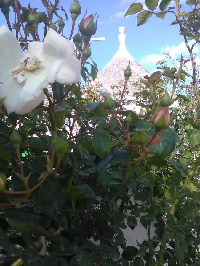 Trulli Di Ivana Ostuni Eksteriør bilde