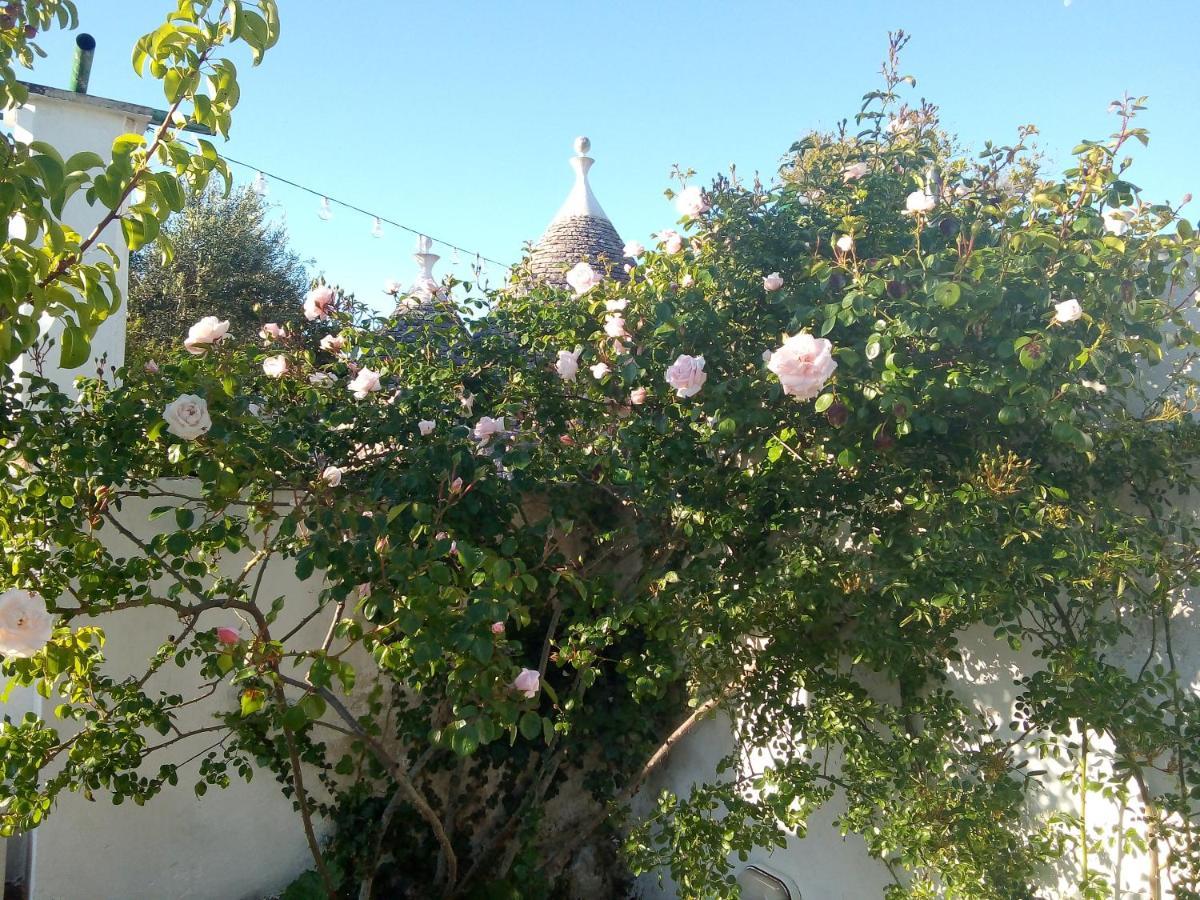 Trulli Di Ivana Ostuni Eksteriør bilde
